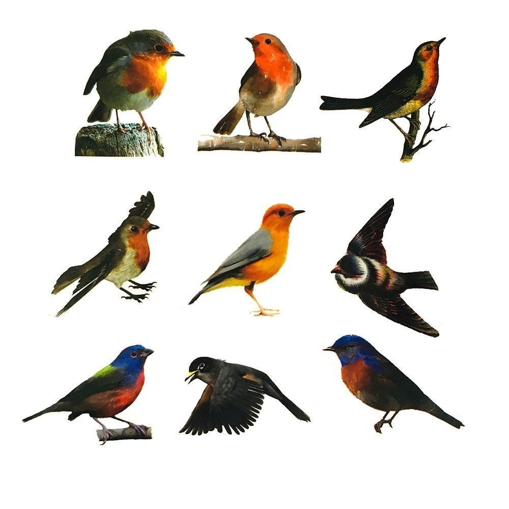 Pack de Stickers - Petits Oiseaux