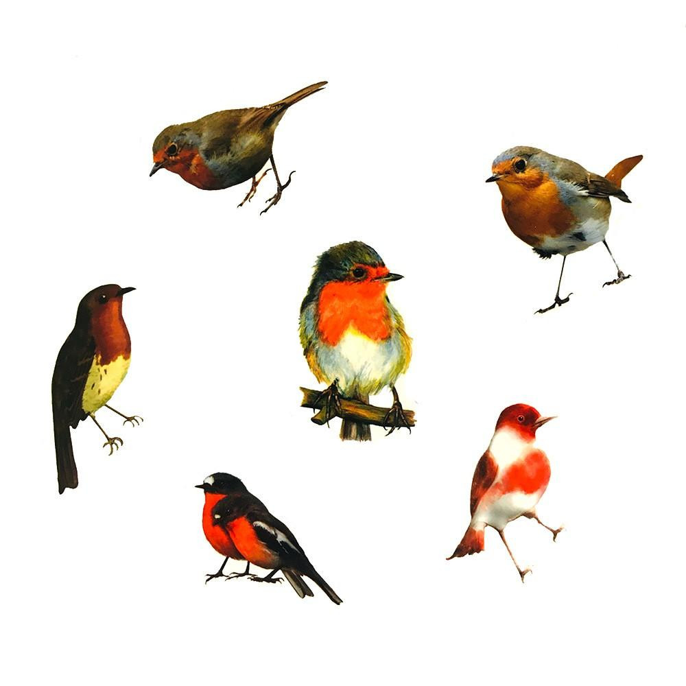 Pack de Pegatinas - Pajaritos