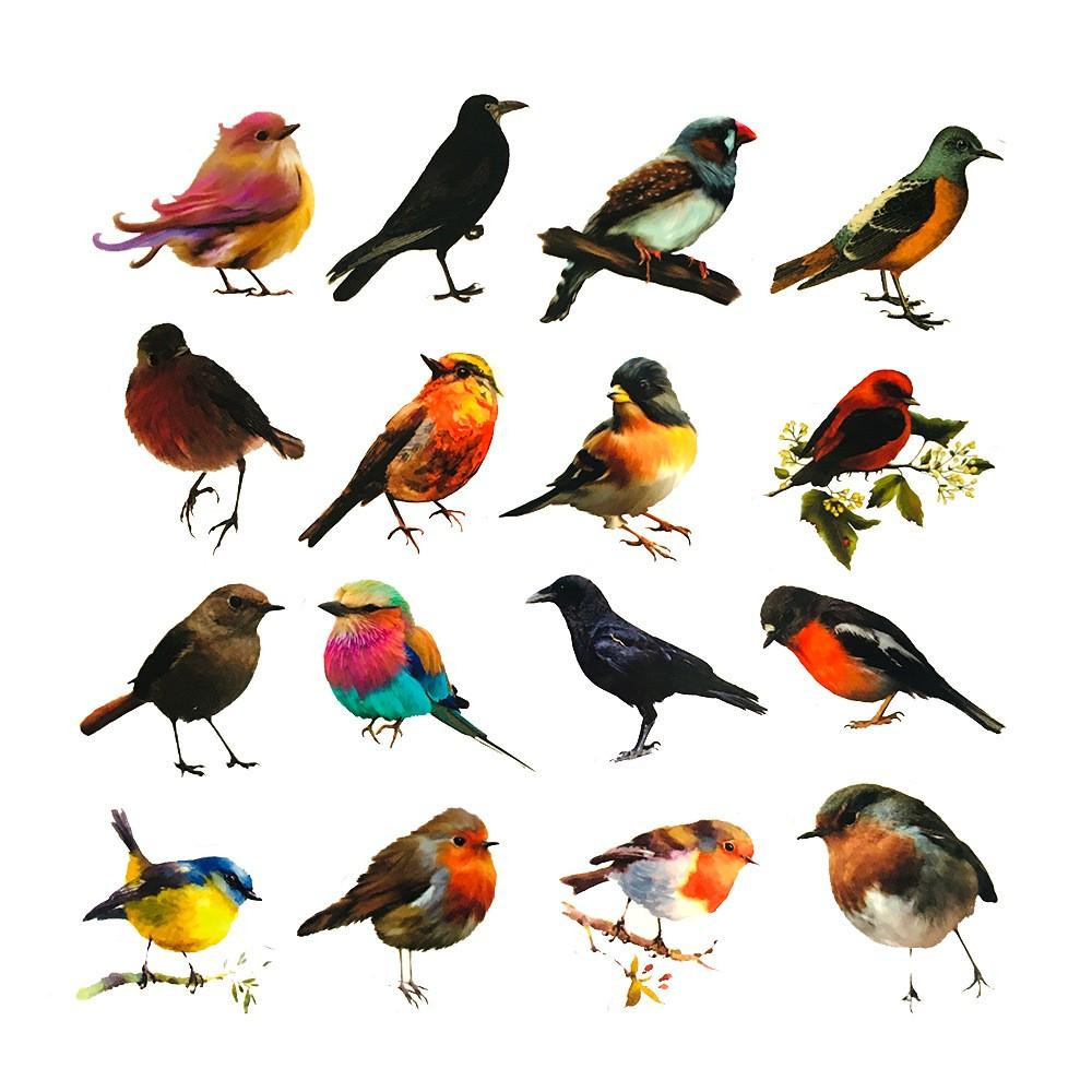 Pack de Stickers - Petits Oiseaux