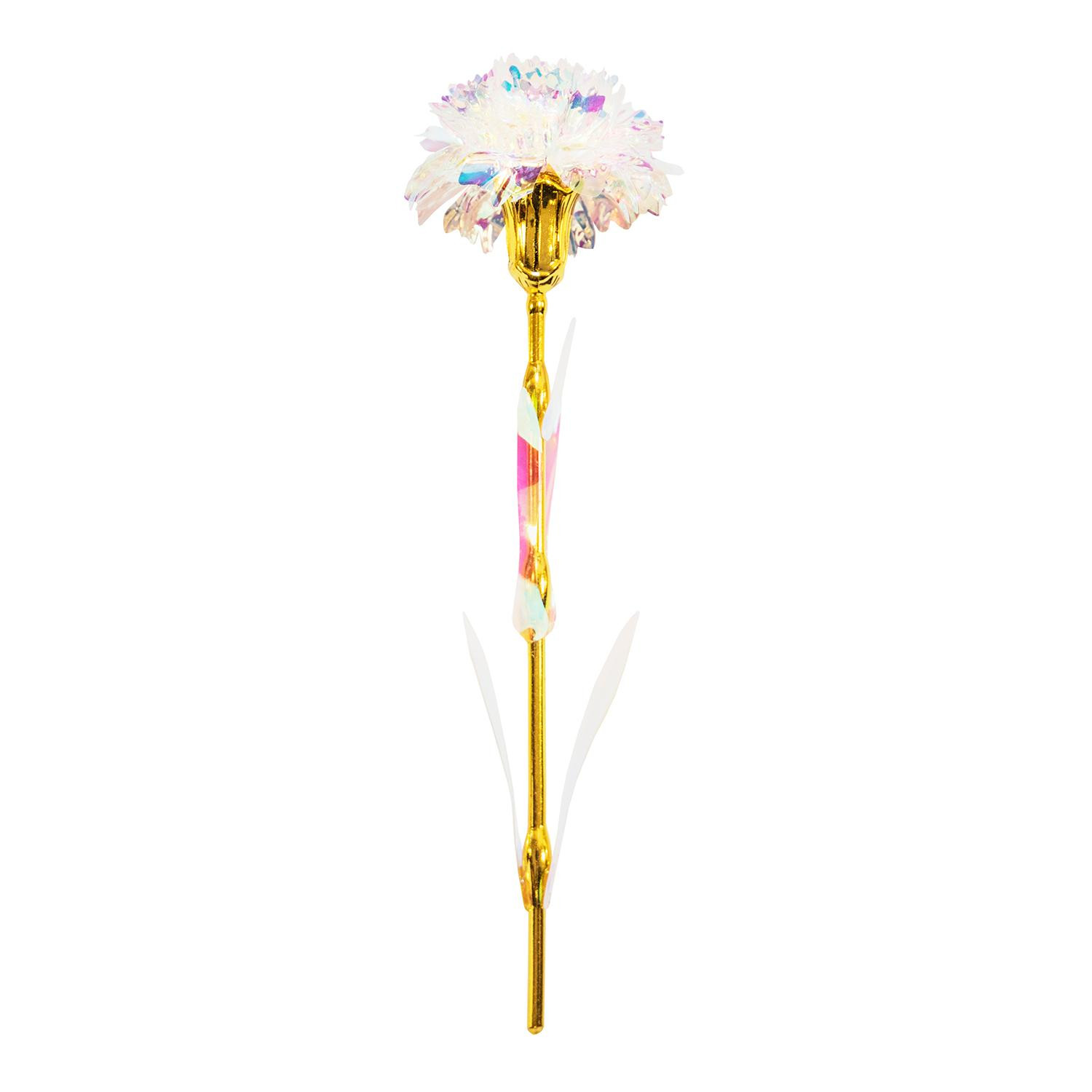 Fleur d'Éternité - Oeillet