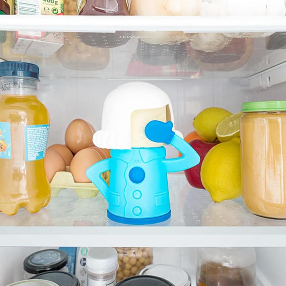 Deodoriser for Refrigerator - Blue