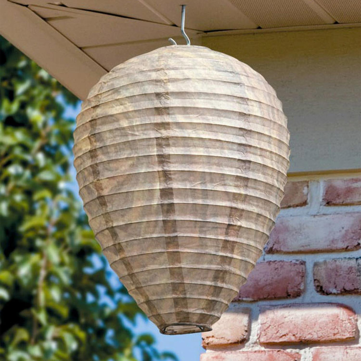 Deterrent for Wasps - Beehive