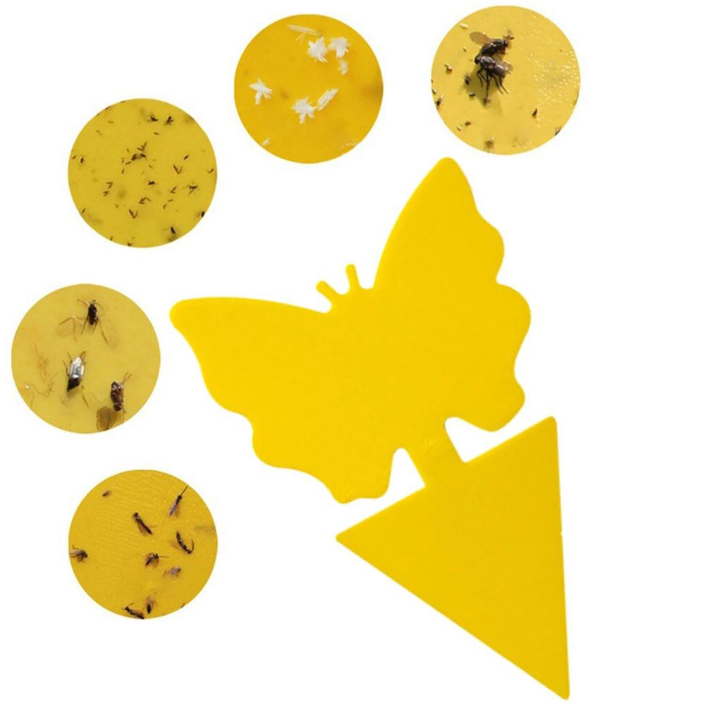12x Insect Traps for Plants
