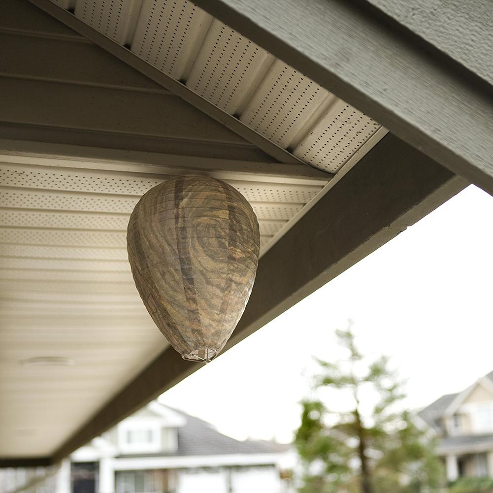 Deterrent for Wasps - Beehive