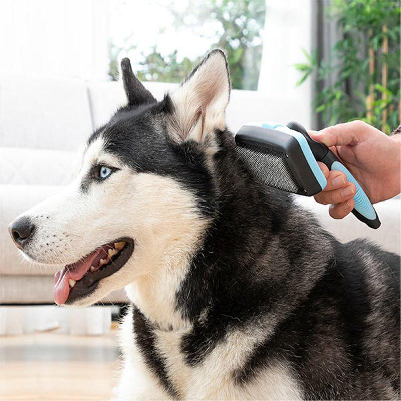 Pet Brush with Retractable Spikes