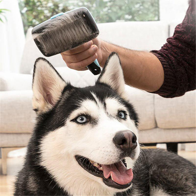 Pet Brush with Retractable Spikes