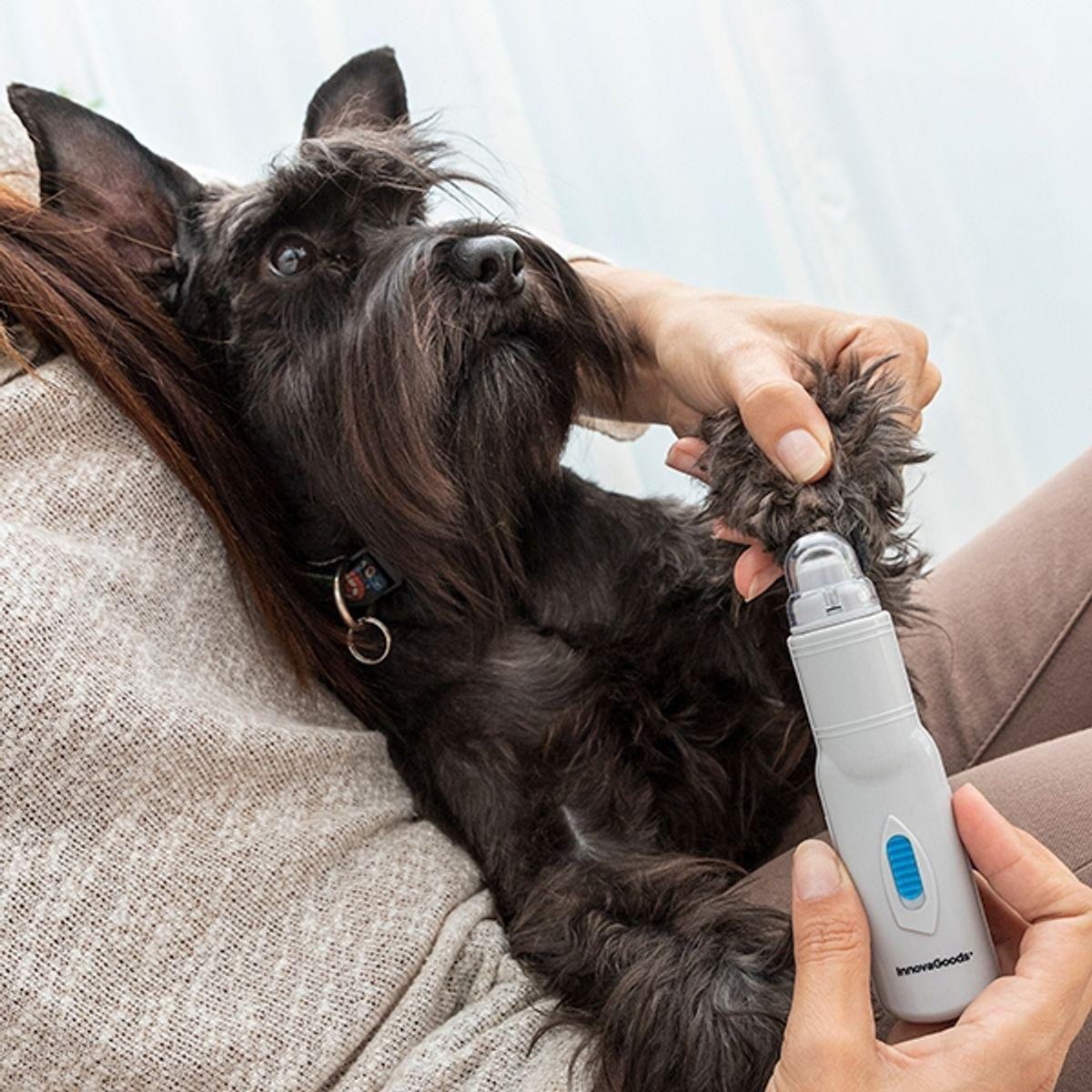 Wireless Claw Grinder for Pets