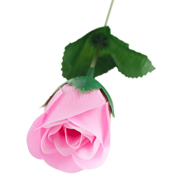 Roses Parfumés - Rose
