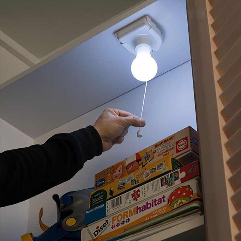 Portable LED Light Bulb