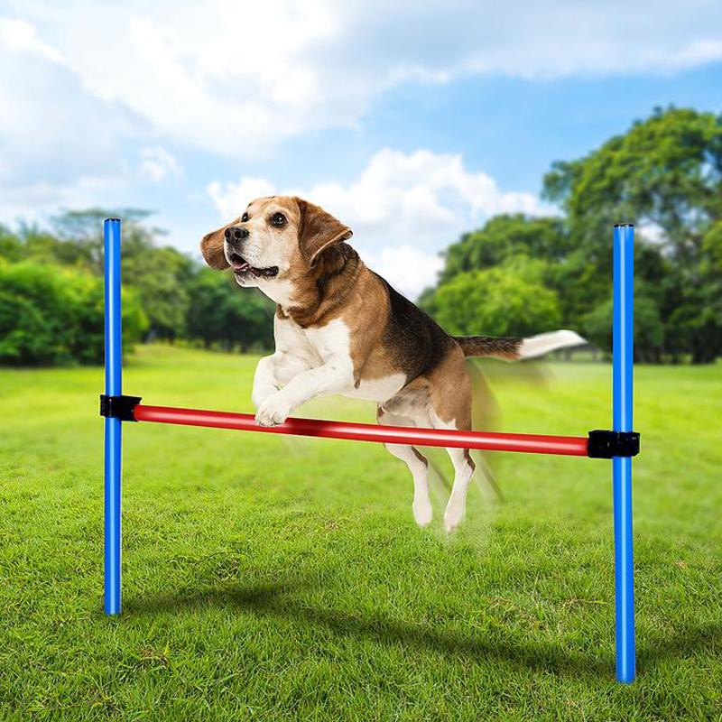 Agility obstacle - 85 x 70 cm