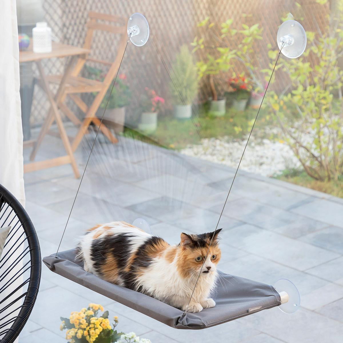 Hammock for Cats