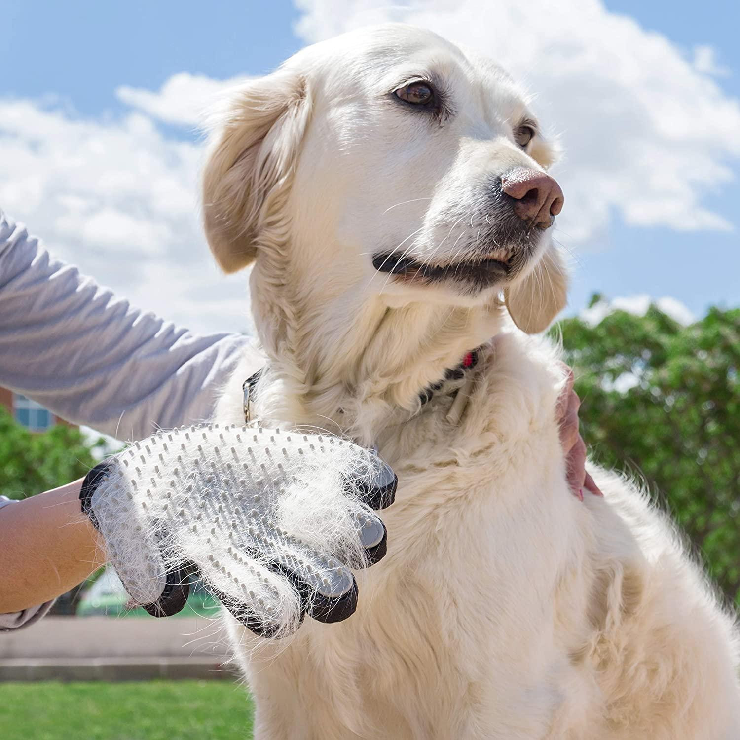 Pet Brush Glove
