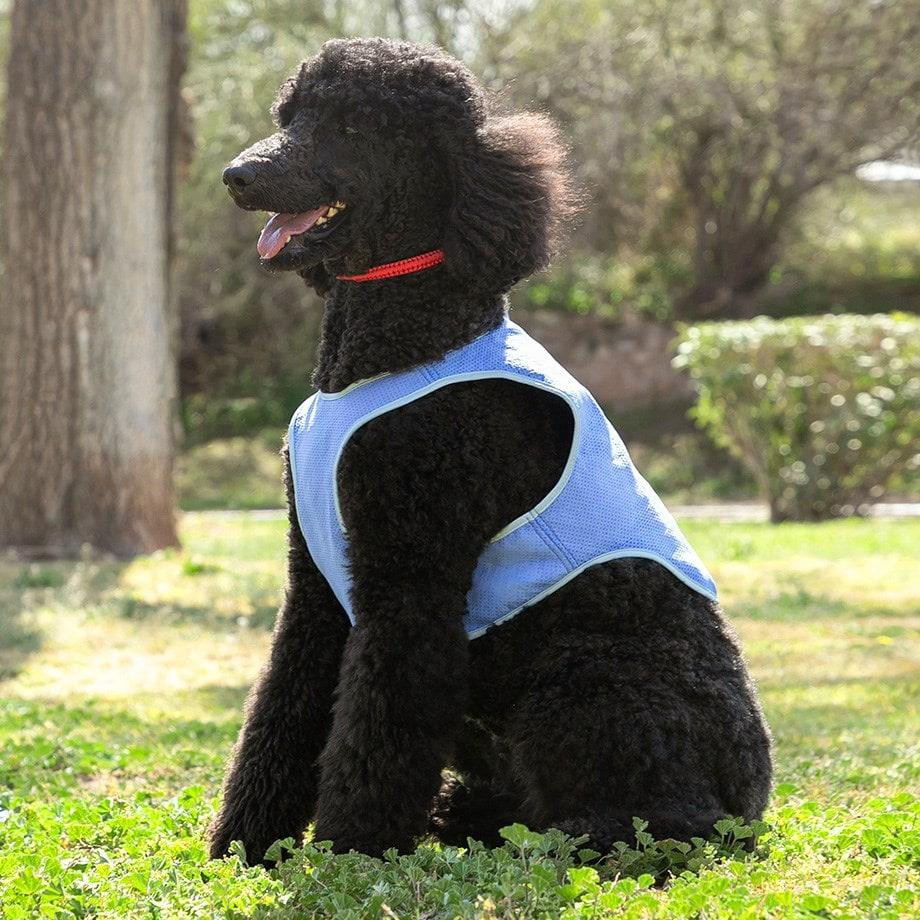 Cooling Vest for Pets - Size M
