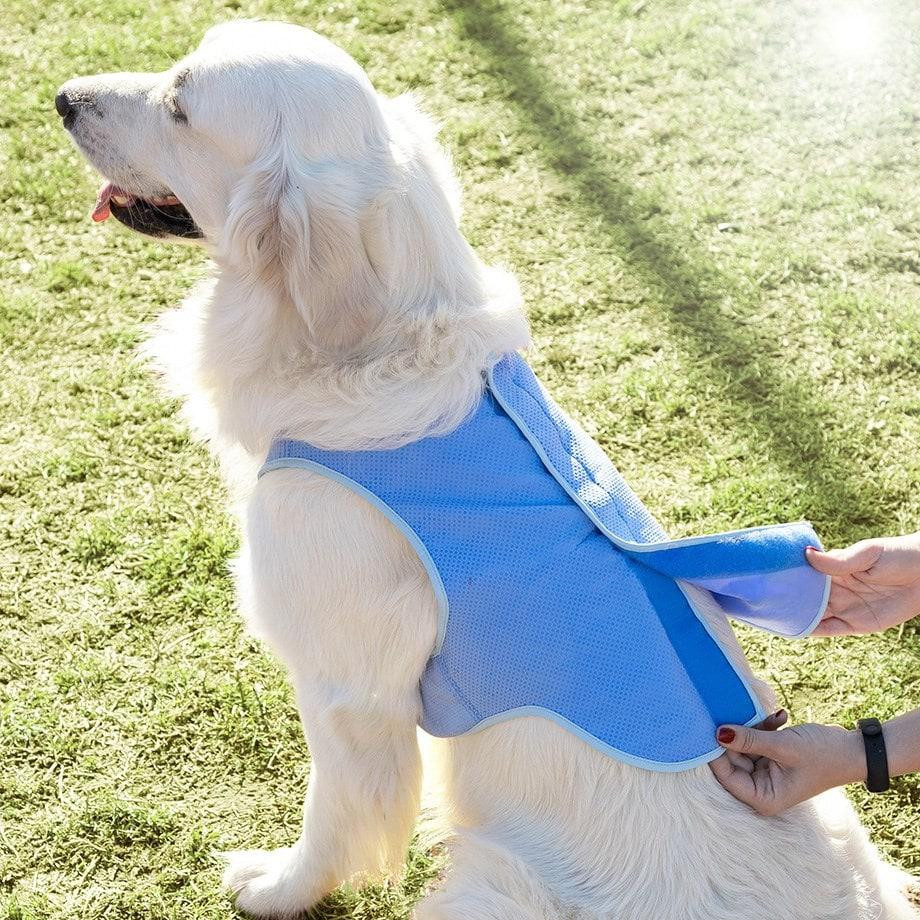 Cooling Vest for Pets - Size M