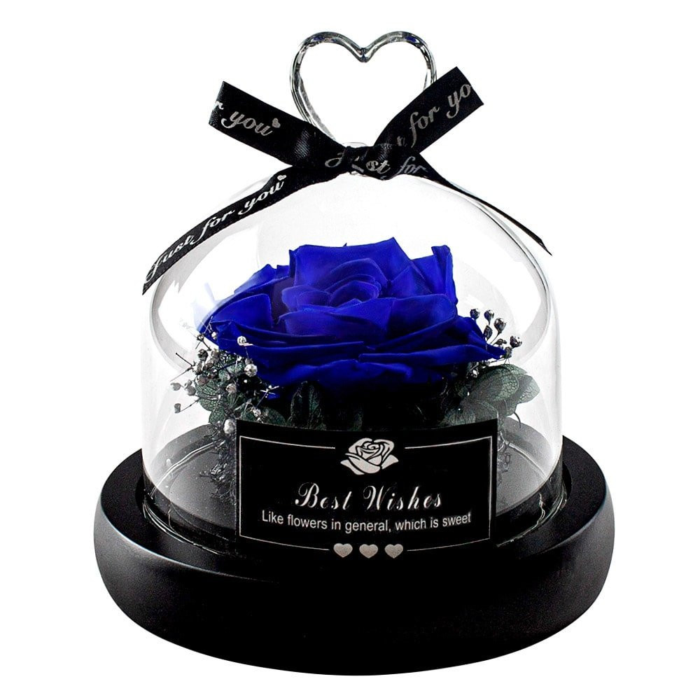 Rosa Infinito Piccola - Blu