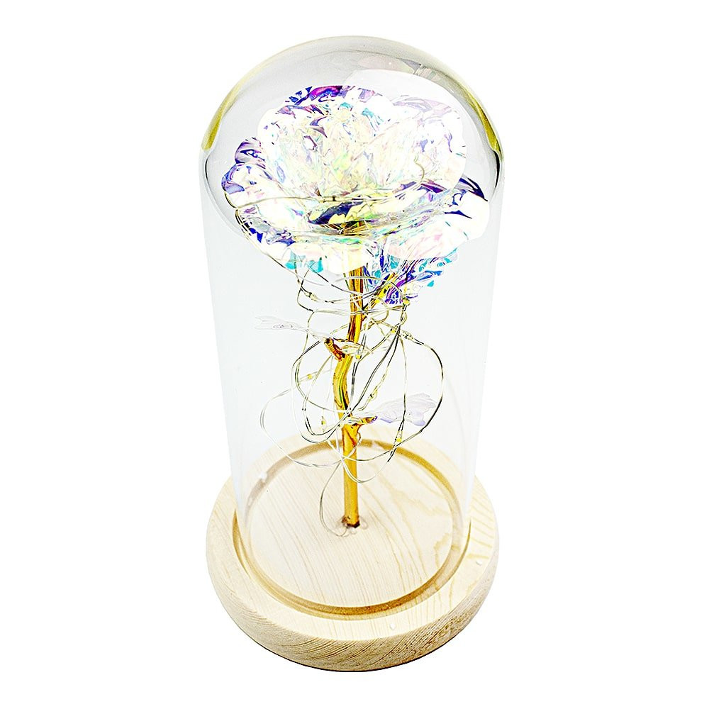 Infinity Rose with string lights - Holographic