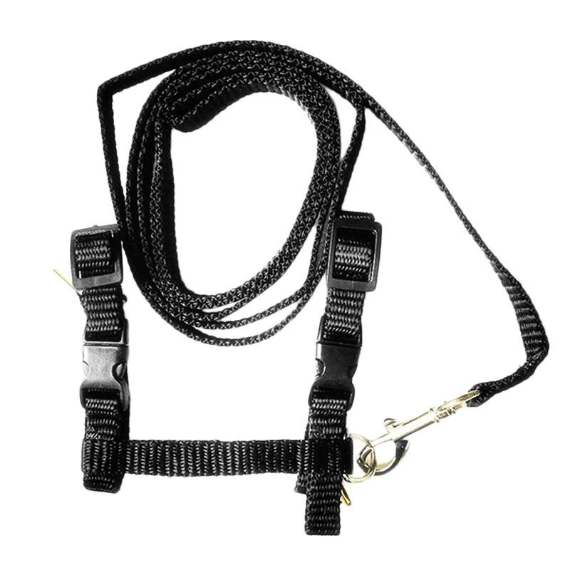 Adjustable harness and leash for cat