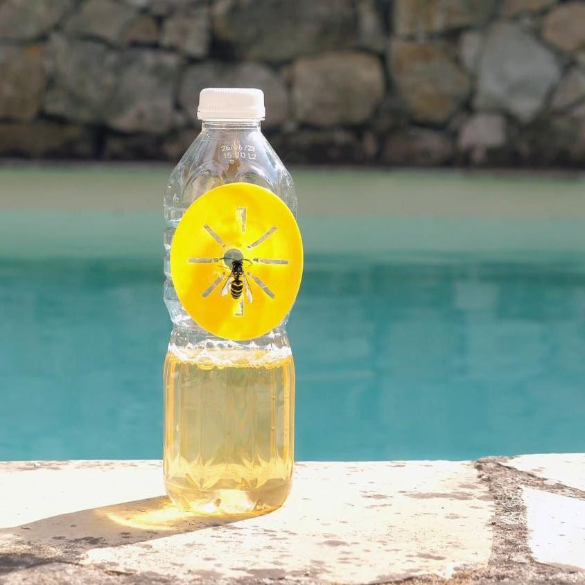 6x Wasp traps for Plastic bottles