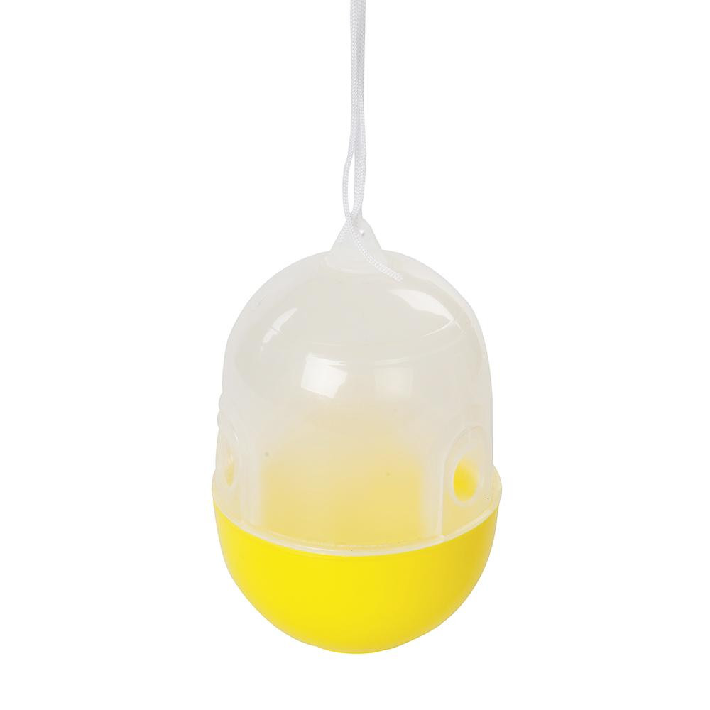 Insect trap with string