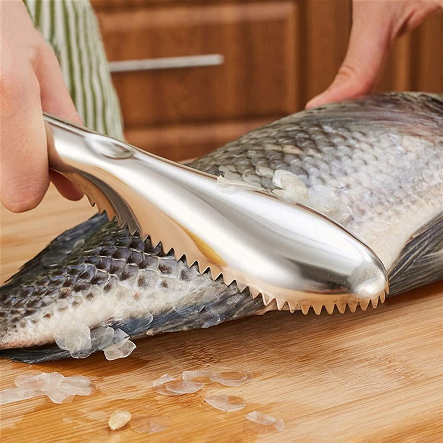 Fischschupper aus Edelstahl