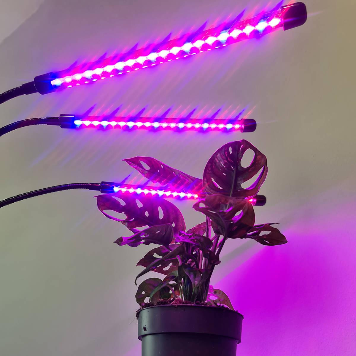 Adjustable Cultivation Lamp - LED, Timer